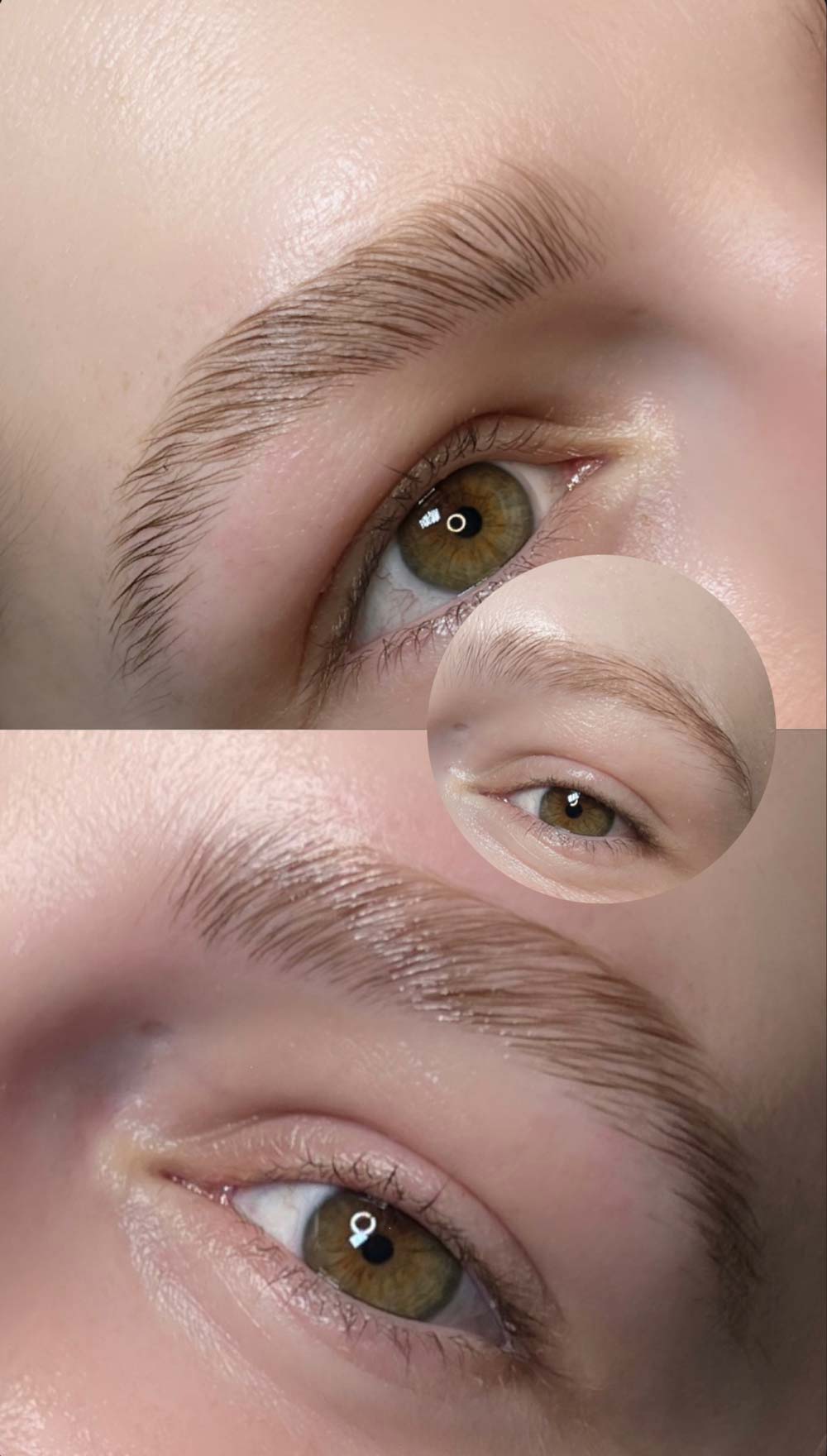 Nahaufnahme eines braunen Auges mit neutralem Ausdruck, Fokus auf Brauen und Wimpern.